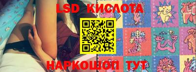 шишки Брянск