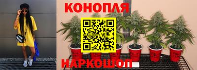 mdpv Боровичи