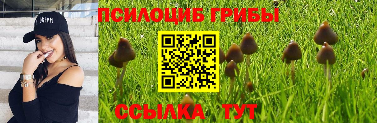 Псилоцибиновые грибы Magic Shrooms  Вход с VPN  Борзя 