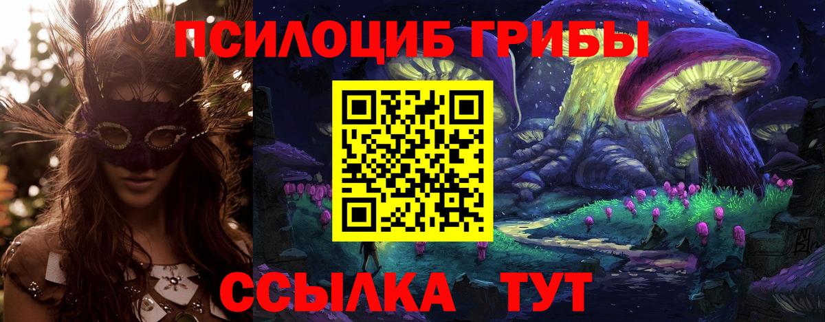 Галлюциногенные грибы Psilocybe Борзя